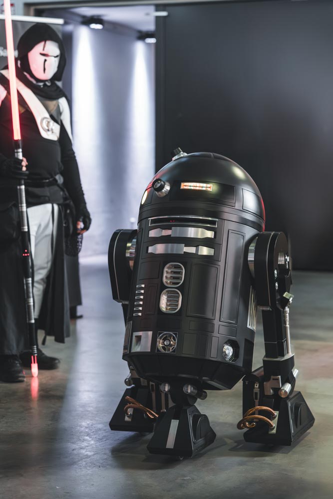 _DSC2262-Verbessert-RR-Bearbeitet